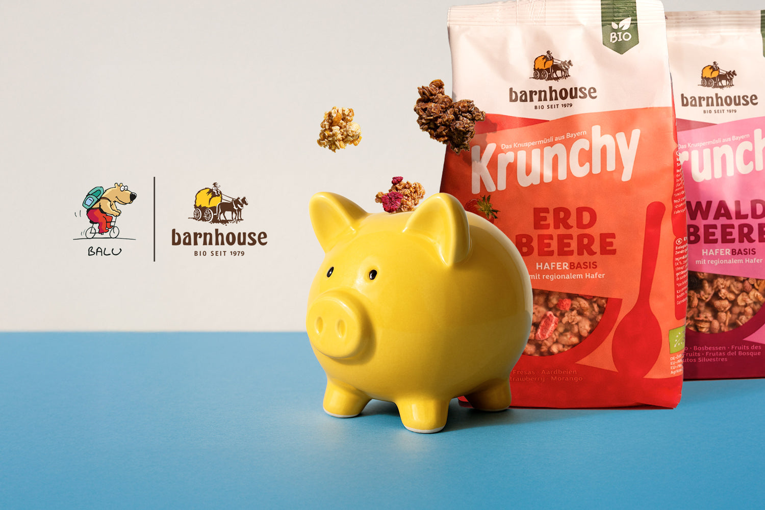 Wir spenden 10% deines Einkaufswertes an die Kinderkrebshilfe BALU