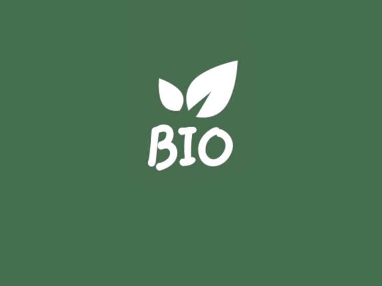 Grüner Hintergrund mit Bio-Logo