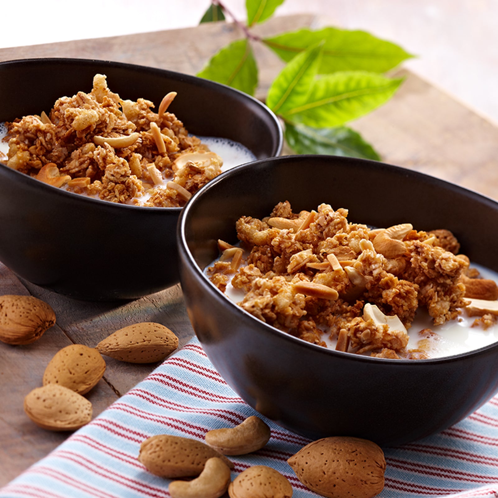 Holzbrett mit paar grünen Blättern, einem rot-weiß-blauen Geschirrtuch sowie sieben Mandeln und zwei Cashewnüssen. Der Blickfang sind zwei schwarze Müslischalen, die mit Milch und Krunchy Dinkel-Nuss von Bio-Knuspermüsli-Hersteller Barnhouse befüllt sind.
