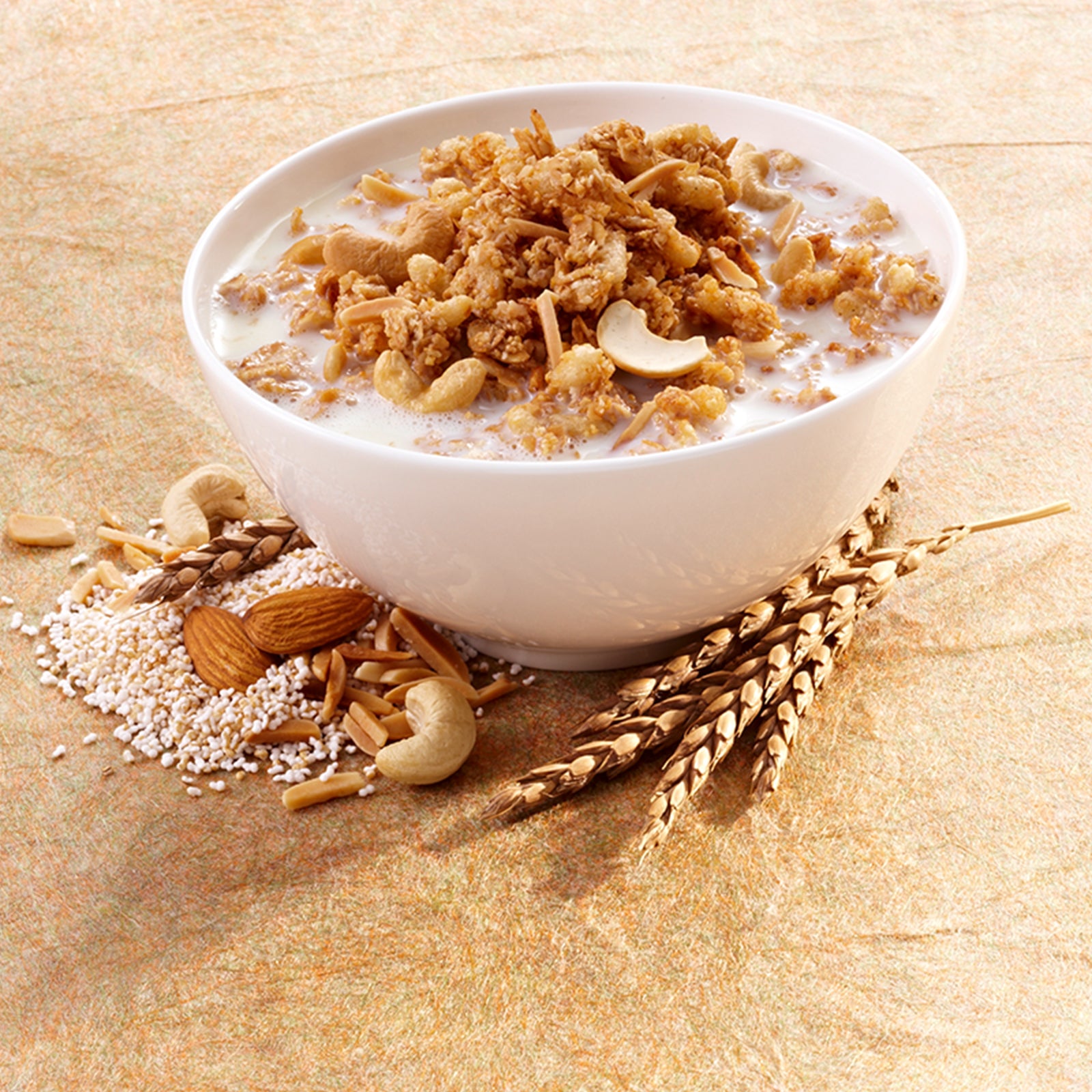 Heller Untergrund, auf dem eine weiße Müslischale, die mit Milch und Krunchy Dinkel-Nuss von Bio-Knuspermüsli-Hersteller Barnhouse befüllt ist. Um die Schüssel herum liegen Dinkelhalme, Cashewnüsse, Mandelsplitter, Mandeln und gepuffter Amaranth - die Zutaten von Krunchy Dinkel-Nuss.