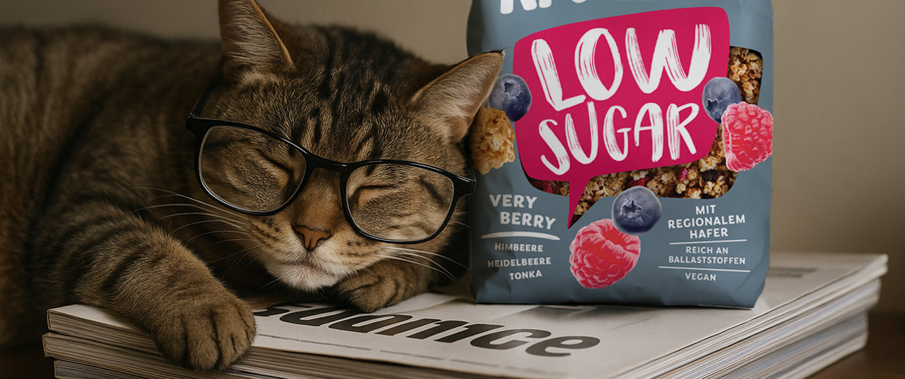 Braun-schwarze Katze mit schwarzer Brille, die auf Magazinen schläft. Daneben steht ein pink-blauer Beutel Krunchy Low Sugar Very Berry von Barnhouse