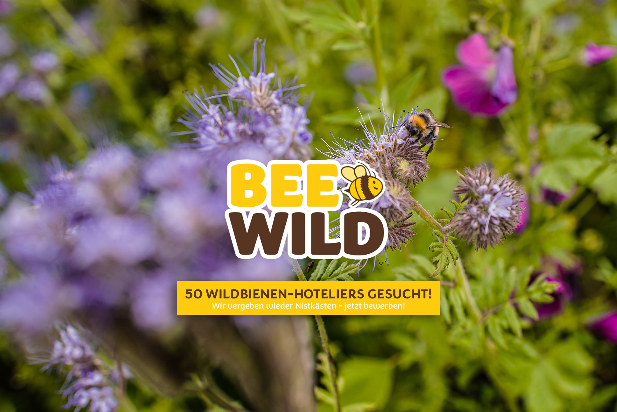 Barnhouse Bee Wild: Wir suchen 50  Wildbienen-Hoteliers!
