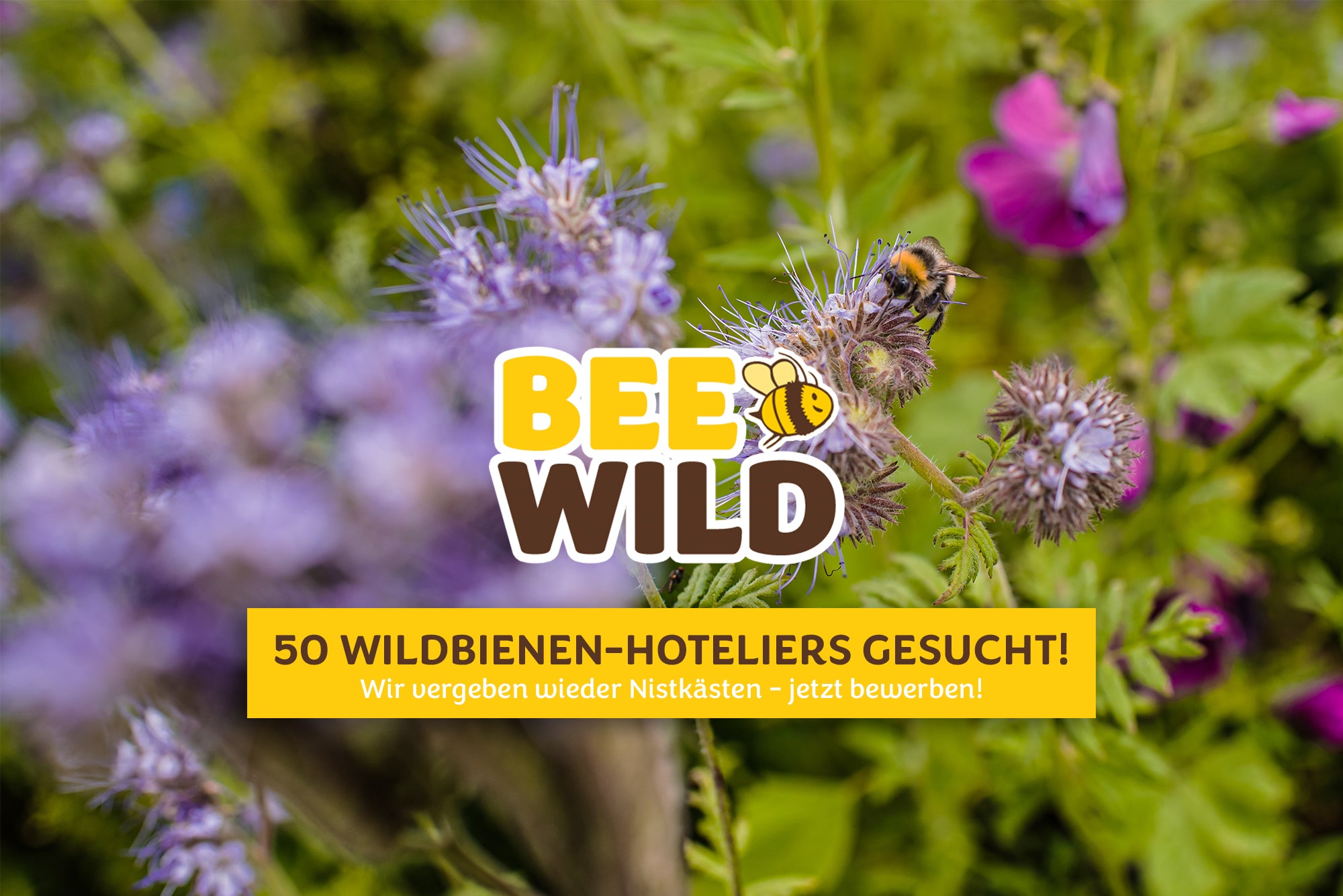 Barnhouse Bee Wild: Wir suchen 50  Wildbienen-Hoteliers!