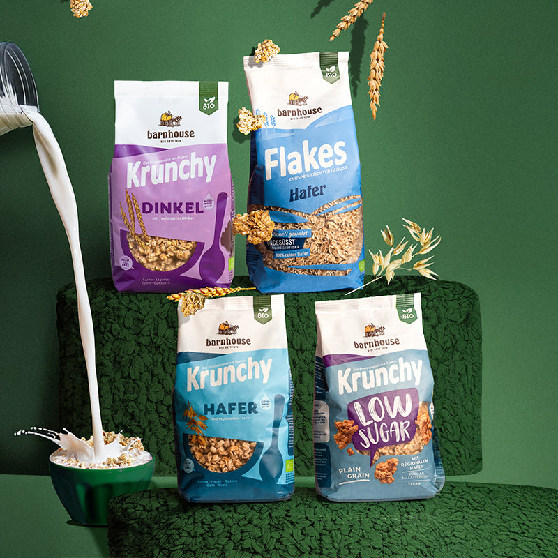 Blick von vorne auf die Beutel der vier Basis-Produkte Krunchy Low Sugar Plain Grain, Dinkel alternativ gesüßt, Hafer alternativ gesüßt sowie Flakes Hafer von Bio-Knuspermüsli-Hersteller Barnhouse. Die Packungen stehen auf zwei verschiedenen Treppenstufen aus grünen Pflanzen. Von links ragt ein Flaschenkopf herein, aus dem Milch in eine grüne Müslischale mit Krunchy läuft. Von oben fallen Knuspermüsli-Cluster sowie Dinkel- und Haferhalme vor grünem Hintergrund nach unten.